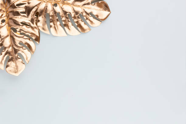 istock Monstera gold leaf on blue background. Palm leaf, Flat lay and top view. 1382386976