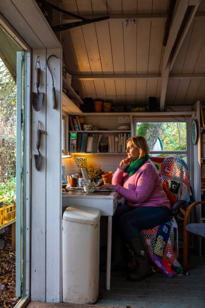 istock Working in the Summer House 1382387250
