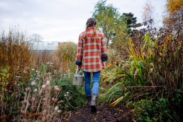 Busy in the Allotment