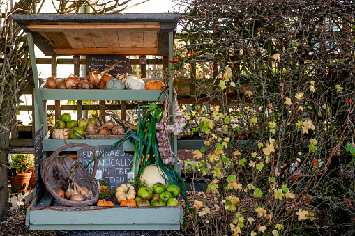 Small business stall in the countryside in the North East of England. The business is sustainable and environmentally friendly and has an honesty box.