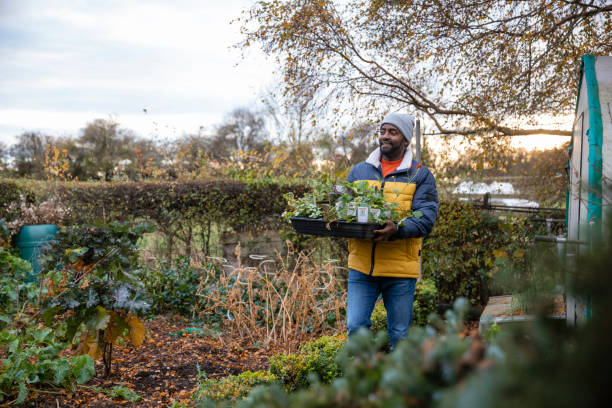 venta de plantas en una granja - green thumb refrán en inglés fotografías e imágenes de stock