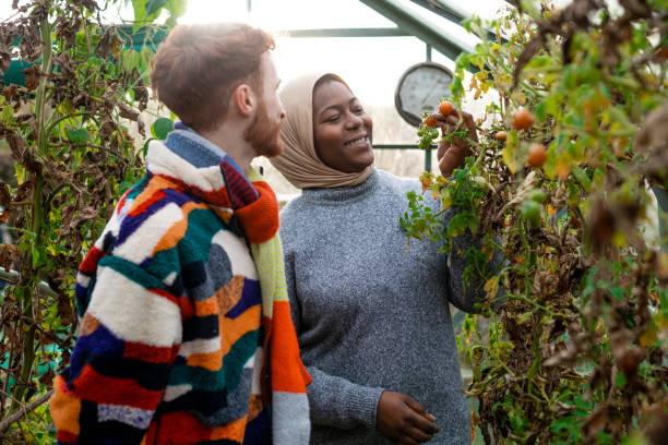 istock Volunteering in the Greenhouse 1382388588