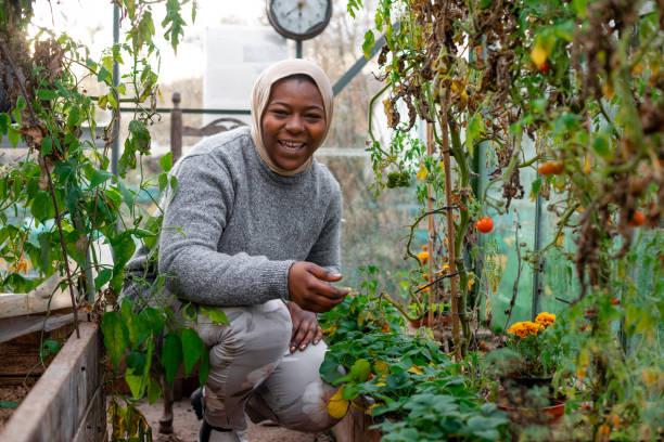 istock Happy to be Volunteering 1382388655