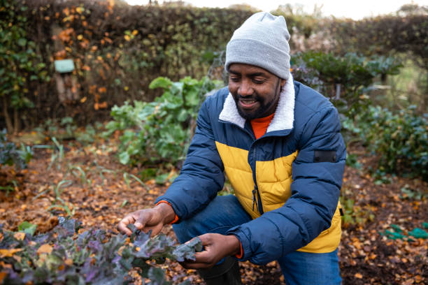 istock Gardening in Winter 1382389218