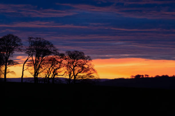 Sun setting with a dramatic sky in Hexham in the North East of England on a farm. There are trees silhouetted in the field.
