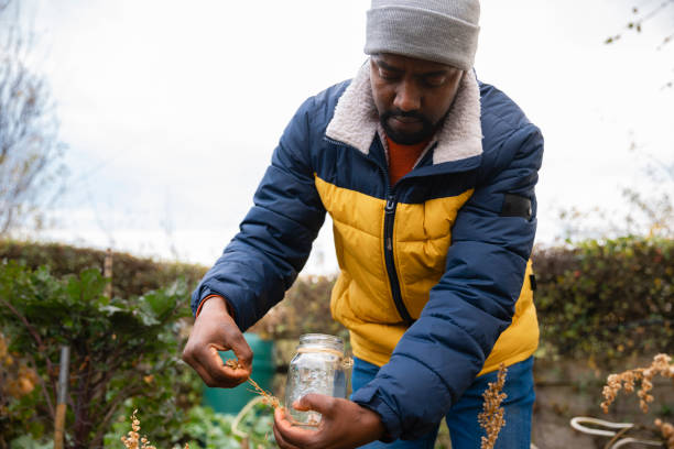 istock Collecting the Seeds to be Sustainable 1382389926