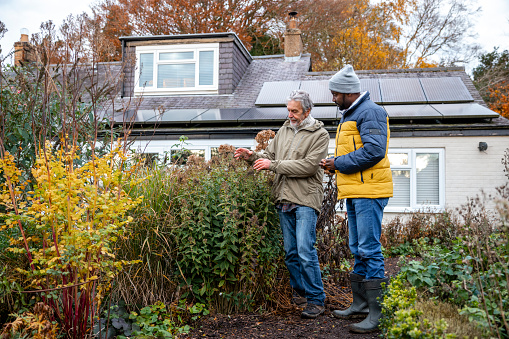 Two men standing looking at nettles together at a residential home in the North East of England.