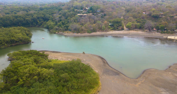 vista aerea di un'oasi tropicale e un ruscello nosara in una posizione giungla. concetto di turismo e vacanze. - penisola di nicoya foto e immagini stock