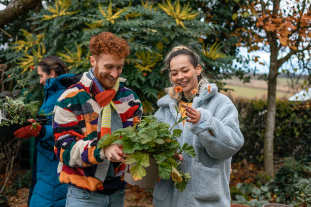 decidir si comprar - green thumb refrán en inglés fotografías e imágenes de stock