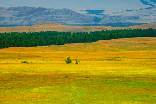 istock Bright natural minimalistic landscape with a spring multicolored field with mountains in the background. Natural background of the mountain steppe. 1382398391