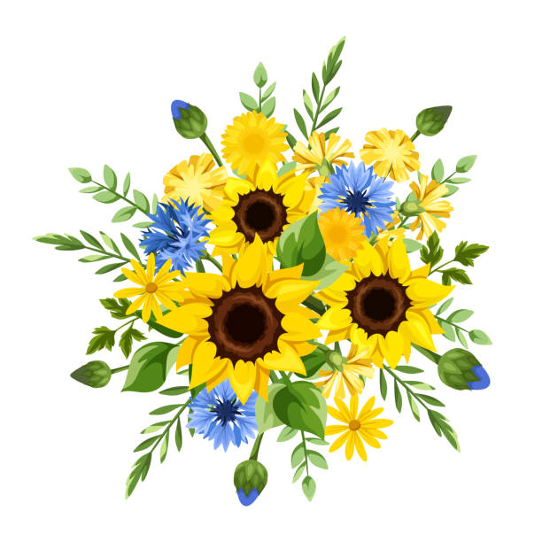 illustrations, cliparts, dessins animés et icônes de fleurs bleues et jaunes. bouquet de tournesols, bleuets et pissenlits. illustration vectorielle - dandelion flower yellow vector