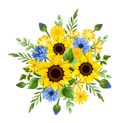 Bouquet of blue and yellow sunflowers, cornflowers, dandelion flowers, and green leaves isolated on a white background. Vector illustration