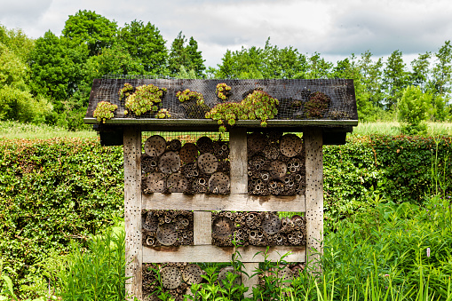 Wooden Bee or insect hotel in garden