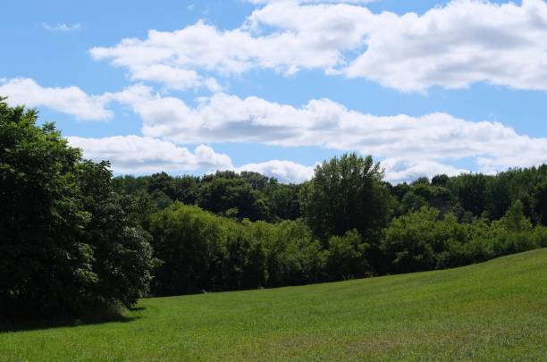 istock Outdoor grassy field 1382447803
