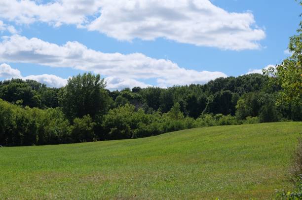 istock Outdoor grassy field 1382447807
