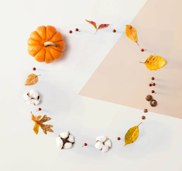 istock Autumn theme with orange pumpkin 1382458952