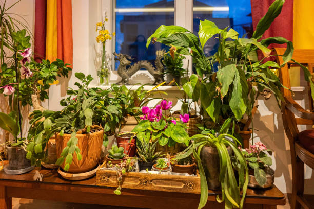 istock Garden corner inside the house 1382459201
