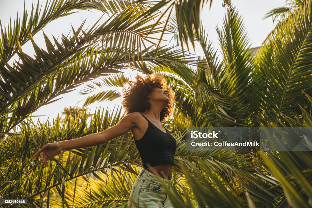 Pretty young afro woman among palm trees Fashion Stock Photo