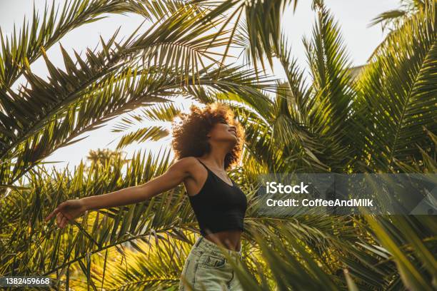Pretty Young Afro Woman Among Palm Trees Stock Photo - Download Image Now - Fashion, Summer, Women