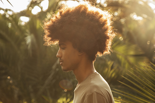 African american man with african hairstyle among palm trees
