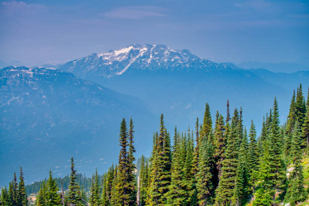 Whistler mountains in summer season, Canada