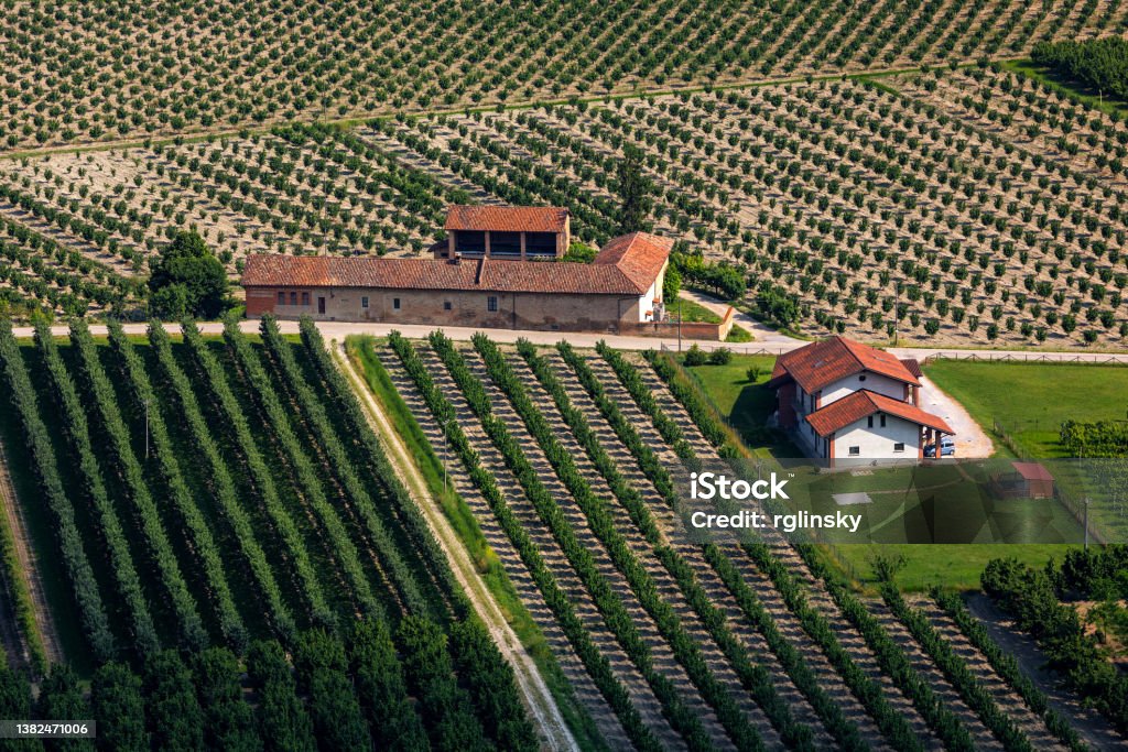 Rural houses and agricultural fields in Piedmont, Italy. View from above of rural houses and agricultural field with trees in Piedmont, Northern Italy. Above Stock Photo