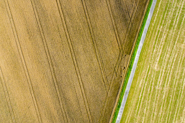 istock Abstract agricultural field - aerial view 1382476034