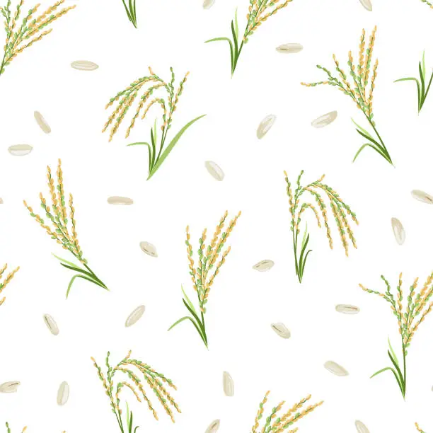 Vector illustration of Rice ears and grains background. Vector seamless pattern with cereal plants. Cartoon flat illustration.