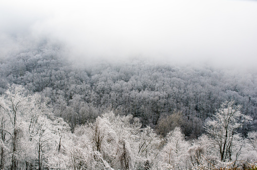 A hoar frost and fog has painted layers in the Smoky Mountains of Tennessee on a cold winter morning