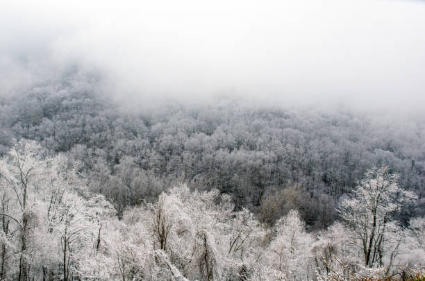 abstract layers in the smoky mountain frost - great smoky mountains great smoky mountains national park appalachian mountains mountain imagens e fotografias de stock