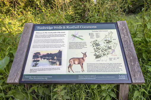 Information Sign at Rusthall Commons near Royal Tunbridge Wells in Kent, England. It contains a map and illustrations regarding the countryside.