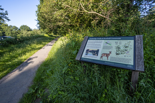 Information Sign at Rusthall Commons near Royal Tunbridge Wells in Kent, England. It contains a map and illustrations regarding the countryside.