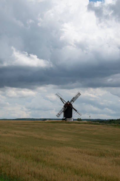 istock Post windmill in grain fields near Wanzleben in Saxony-Anhalt, Germany 1382498673