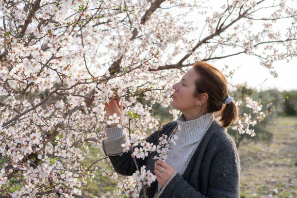 Free Stock Photo of Woman Standing in Front of Tree With Pink Flowers ...