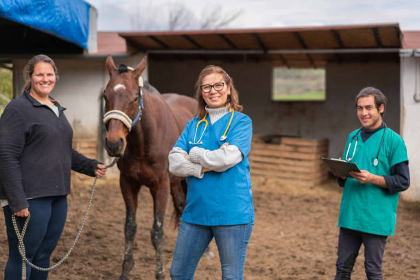 der pferdebesitzer posiert für die kamera mit pferd und tierarztteam - working horse stock-fotos und bilder