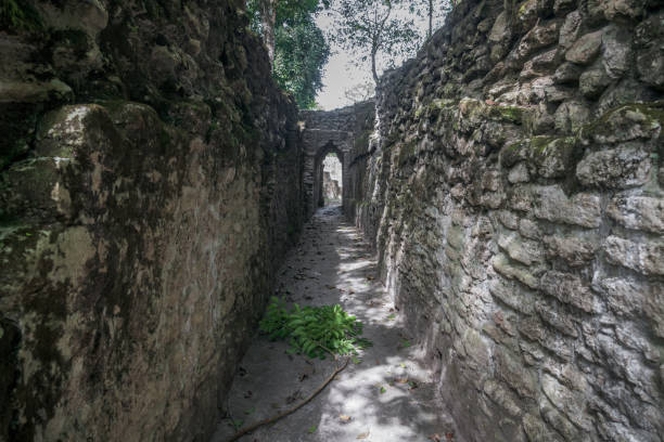 istock Narrow path at Maya ruins 'Cahal Pech' in San Ignacio, Belize 1382529249