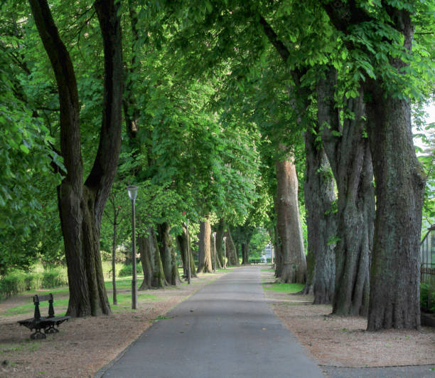 istock Alley Road 1382550226