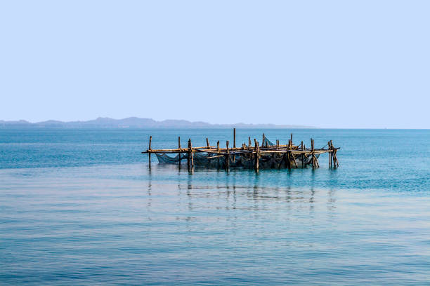 Fish traps on the Pangalanes Canal, eastern Madagascar