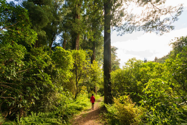 istock Enjoying outdoors. 1382563959