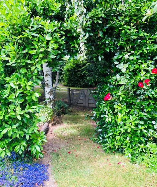 istock Wooden garden gate through archway 1382563963