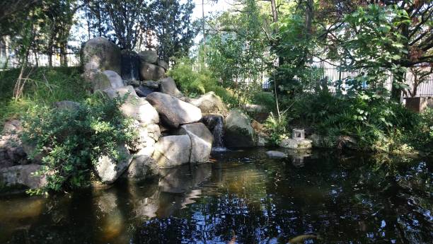 istock Park vegetation in a big city [ecological park 1382575049