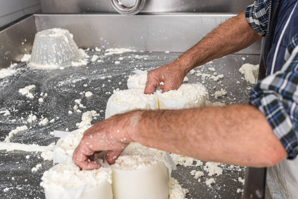 istock older man grabs 6 moulds of fresh cheese 1382582207