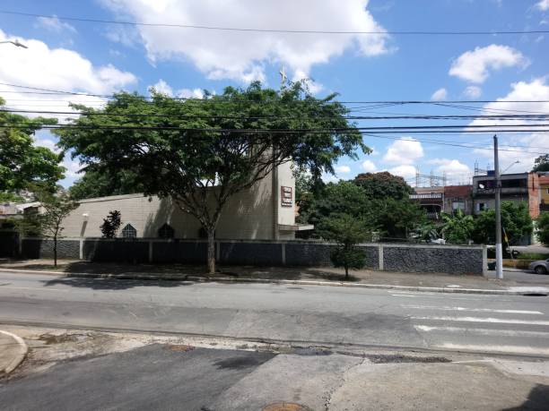 istock Park vegetation in a big city [ecological park 1382589511