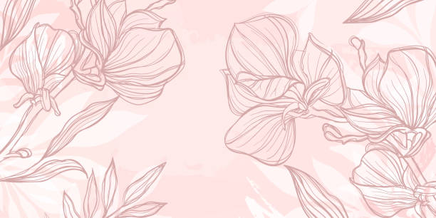 ilustraciones, imágenes clip art, dibujos animados e iconos de stock de arte abstracto fondo floral rosa. dibujar a mano flores de contorno magnolia boceto con hojas y pincelada. fondo vectorial para decoración de paredes, banner, postal, póster o folleto - femininity