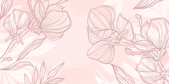 Abstract art pink floral background. hand draw outline flowers magnolia sketch with leaves and brush stroke. Vector background for wall decoration, banner, postcard, poster brochure