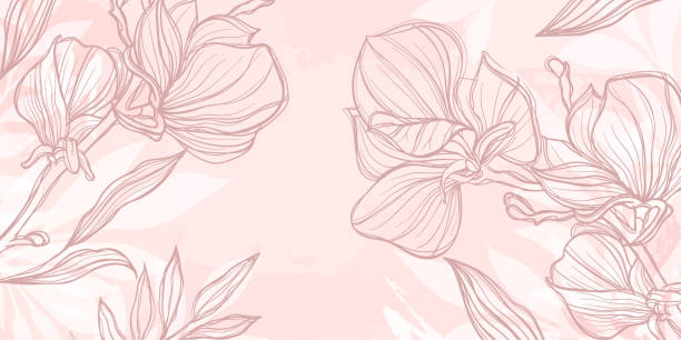 Abstract art pink floral background. hand draw outline flowers magnolia sketch with leaves and brush stroke. Vector background for wall decoration, banner, postcard, poster or brochure Abstract art pink floral background. hand draw outline flowers magnolia sketch with leaves and brush stroke. Vector background for wall decoration, banner, postcard, poster brochure floral patterns stock illustrations