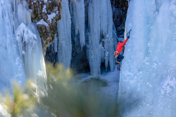 istock View past conifer to ice climber ascending frozen waterfall 1382621226