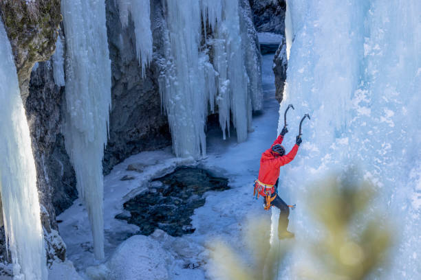 View past conifer to ice climber ascending frozen waterfall stock photo
