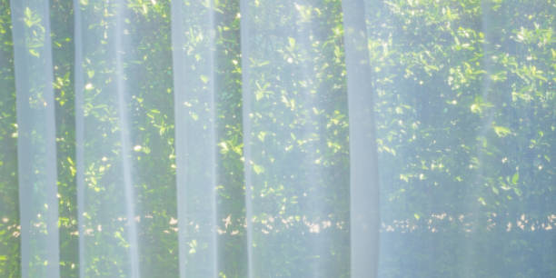 istock Abstract blur curtain window with green garden background 1382626504