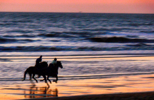 Two horseback riders on a  beach on a bright, windy winter's afternoon, are almost silhouetted against the choppy sea and misty, gold-tinged sky. Ample copy space over the sea, beach, and misty mountain.